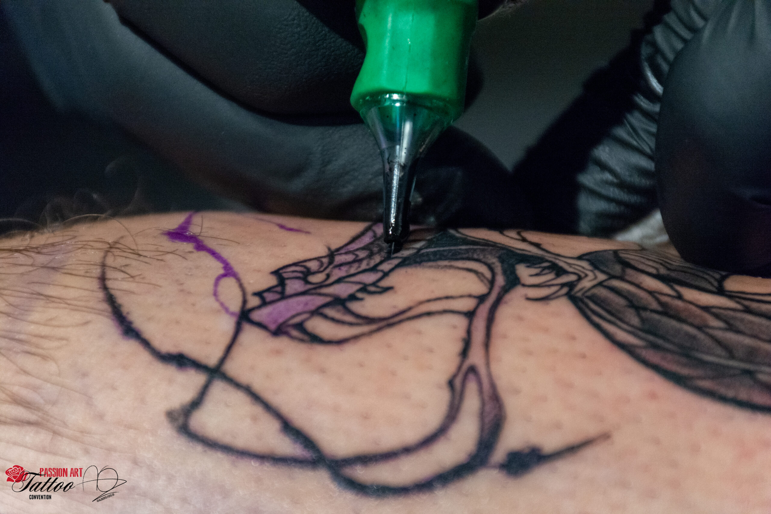 DSC_3293-2